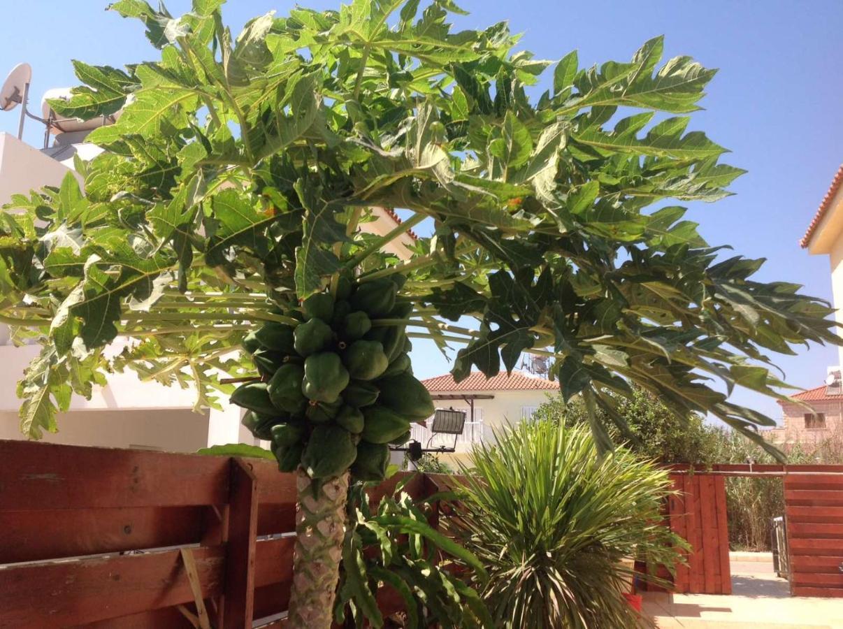 Carolyn Villa Is A Luxury 4-Bedroom Villa With Private Pool In Ayia Napa Exteriör bild
